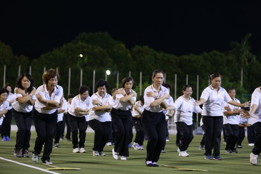 元极大汇演在进行中。